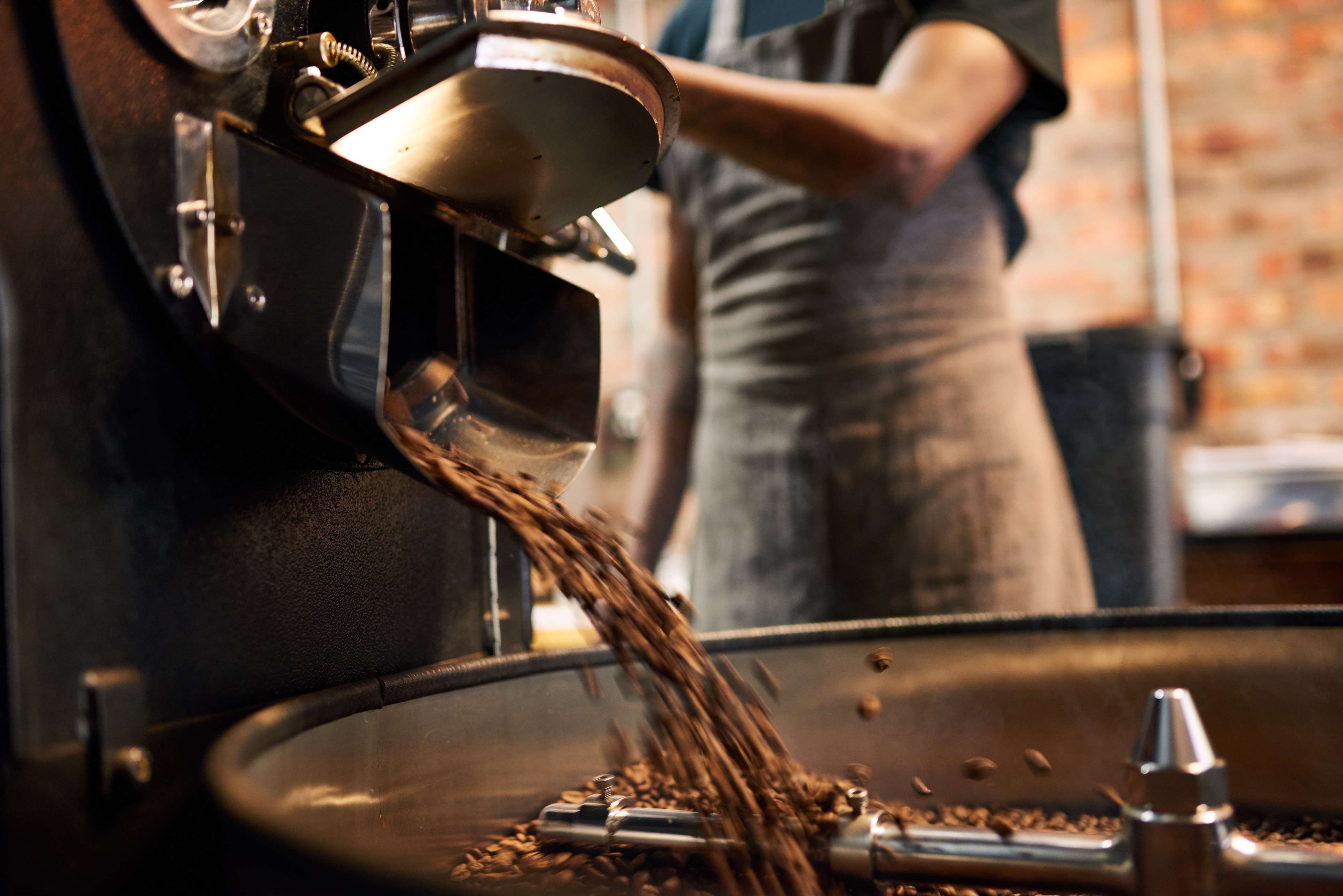 Freshly roasted beans pouring from the roaster drum into the cooling tray, with the roaster standing behind it.